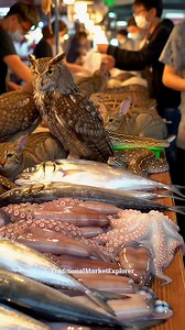 Extreme Asian Wet Market: Owls, Cats & Exotic Animals Next to Seafood!”Step inside one of the most shocking and unusual wet markets in Asia.In this rare footage, owls, cats, rabbits, and exotic reptiles are placed beside fresh seafood like octopus, squid, and fish — creating a scene that feels unreal yet is completely real.Captured with natural ambient sound and no script, this video shows the raw and intense atmosphere of a marketplace where pets, wildlife, and food exist side by side.#ExtremeM