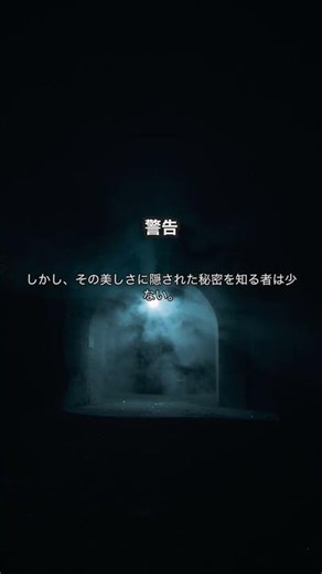 もしセーヌ川で光る手を見たら、目を逸らすな。｜【フランス】夜のセーヌ川