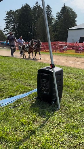 Mini horse pull #horse #horsepull #horsepulling #ponypull #equine | Suzanne Carrick