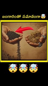 5.1K views · 19K reactions | 勞మిరియాలు History #facts #telugufacts #blackpepper #kantarachapter1 | FactoPedia Telugu | Facebook