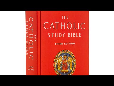 The Catholic Study Bible Review | The Best Study Bible in the Market