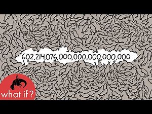What if you had a mole of moles?