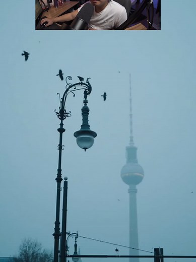 Cinematic Bird Video with Captivating Vibes