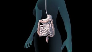 This video shows the irritable bowel