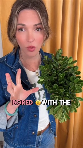 Flower Moxie on Instagram: "Say hello to our fresh new fave: Hebe Greenery 🌿 Have you worked with it yet? And don’t tell me this has been around forever. I don’t wanna hear it, Tammy. #diywedding #diybride #diyflowers #greenery #hebe"