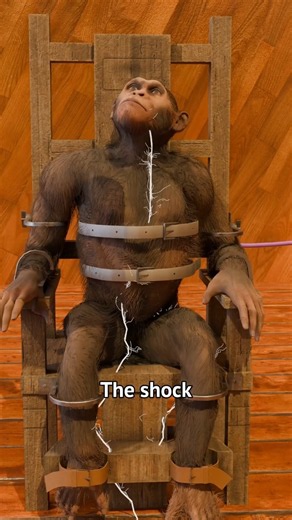 The Executive Monkey Experiment 🐵