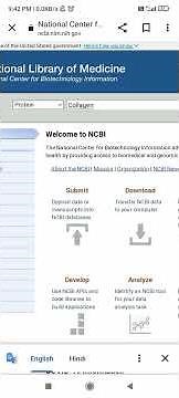Pairwise sequence alignment using blast #bioinformatics