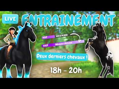 [LIVE] On entraine les deux derniers chevaux de mon écurie ! 🥳​ Star Stable Online (18h- 20h)