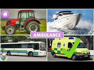 First Words - Learn about Cars