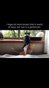 663K views · 28K reactions | Spilled Words and Coffee on Reels | Facebook