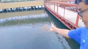 #farming #farmlife | Dexter's World