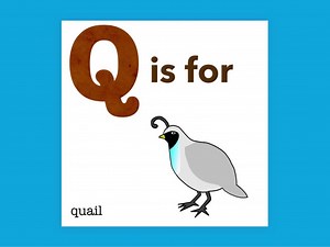 Q Is For (Word Book)