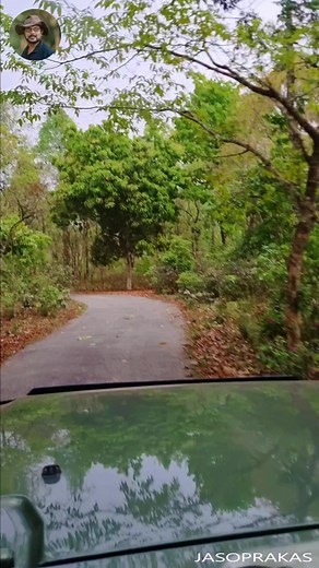 14K views · 417 reactions | Pure Nature | Wild life and Nature Photography | Facebook