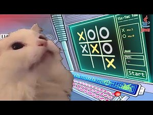 Programando: [ Tic Tac Toe ] ~ JAVA ( Apache NetBeans )