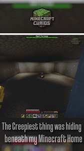 The great evil Minecraft turtle is no joke... | Minecraft Curios