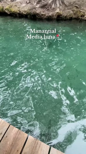 Descubre la belleza natural en el Manantial Media Luna de San Luis Potosí