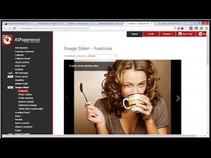 Enhance Your Website Easily with the ASP.NET Image Slider