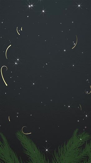 7.6K views | This guy hates Christmas. Cops are still looking for the driver. | 217 Problems | Facebook