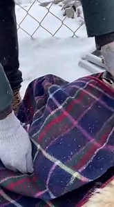 A young boy stops in the cold to wrap a shivering dog in his blanket, showing how simple kindness can bring warmth to a winter night 🧣🐾❄️ #WinterRescue #KindnessInAction #HumanityFirst #HopeInCold | Hope Tails