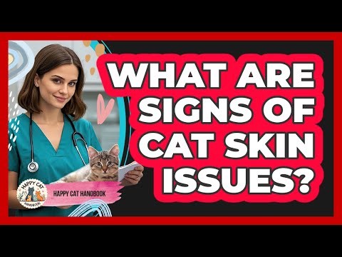 What Are Signs Of Cat Skin Issues?