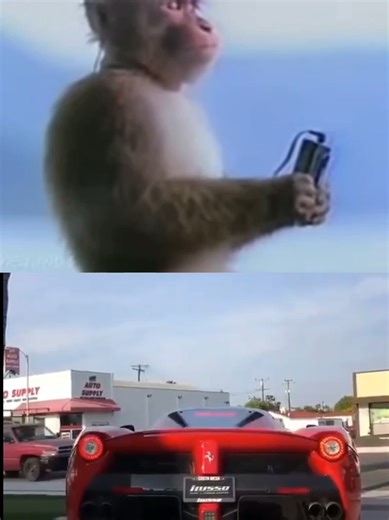 LaFerrari Exhaust Sound: Hear the V12 Power