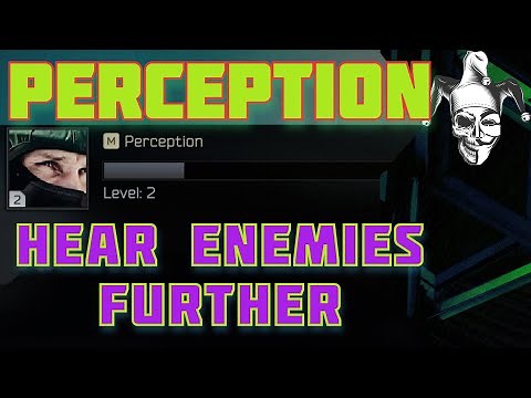 Tarkov Science: Perception Skill Explained & Measured