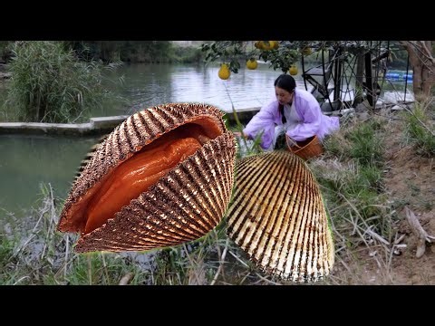 Wow, there's a unique pearl inside the clam shell. It's the most beautiful pearl I've ever seen