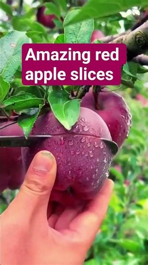 amazing red apple slices #shortvideo