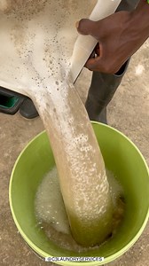 50K views · 380 reactions | Dirty couch not cleaned for 2 years  #satisfying #cleaning | C3 Laundry Services | Facebook