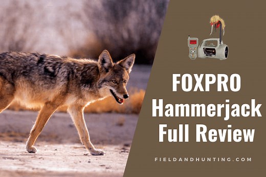 FOXPRO HammerJack 2 Review - Field & Hunting