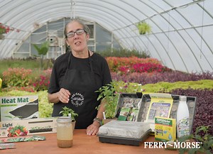 How To ID and Amend Your Soil (Soil Jar Test)