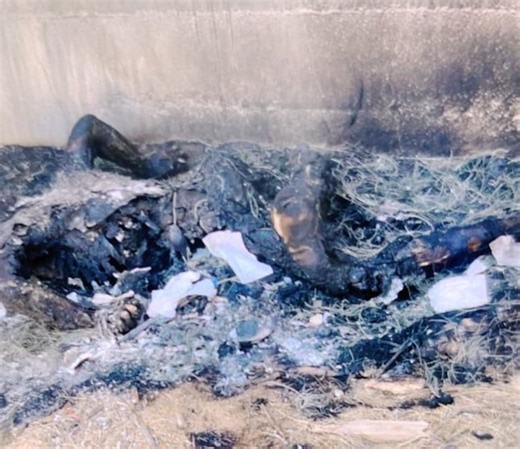 Cuatro hombres y una mujer, asesinados en diversos puntos de Mexicali