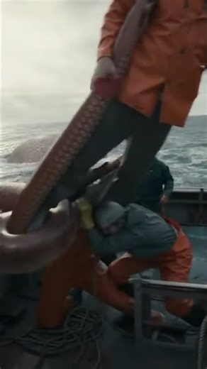 Squid Encounter: Dramatic Sea Rescue