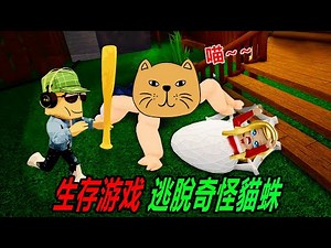 蜘蛛遊戲：猫咪蜘蛛！小木屋惊险逃生……Spider | ROBLOX