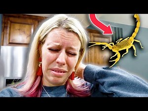 Can A Scorpion Sting Kill You?