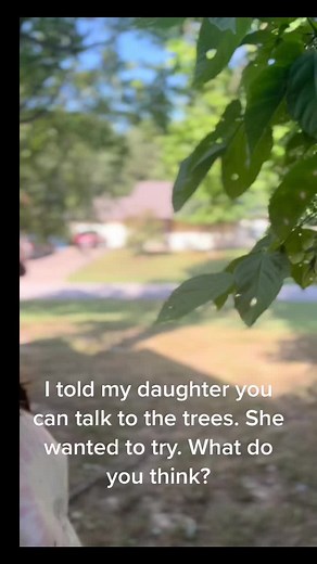 The Language of Trees: A Connection Beyond Words