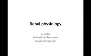 Renal Phys 1: ACVECC Exam Webinar August 19, 2019