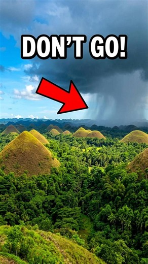 The Best Time to Visit Bohol (Don't Book Until You Watch This!)