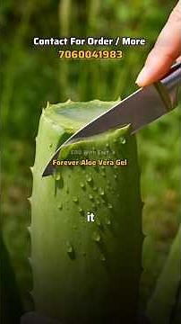 99% Pure Aloe Vera Gel – Drink This Daily for Better Digestion & Energy 🌿 Aloe Vera Truth Revealed!