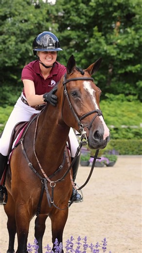 🐴View the 2025 Dutch Sport Horse Sales collection in front & behind the scenes🎥📷 The DSHS Auction is excited to present a fantastic group of 17 extraordinary talented youngsters which will be auctioned off on September 30✨🔨 Check out all the amazing jumpers 💻📱and save the dates👇🏻 📆 Presentation: Monday 29th of September 2025 🛎 Live Auction: Tuesday 30th of September 2025 🐎 Collection: https://bit.ly/DSHS2025Collection Dutch Sport Horse Sales Werbung | spring-reiter.de