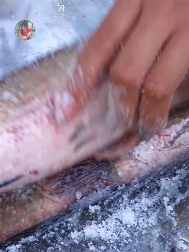 Primitive Survival Food Part 1 #cooking #food #recipe #fblifestyle | Survival Skills TV