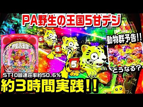 【野生の王国5甘デジ】約3時間実践!!7図柄大当たり後のST10回＋時短90回どうなる⁉動物大移動リーチ!!【パチ細道】