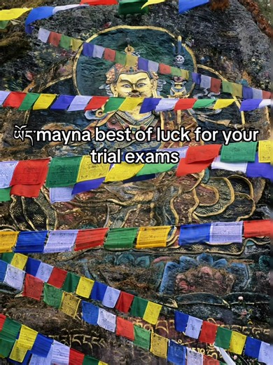 Best of luck for your trial exams