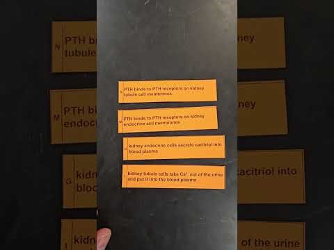 Calcium Homeostasis: Student Sort Cards