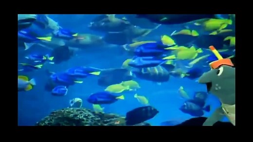 Baby Einstein   Baby Neptune   Discovering Water