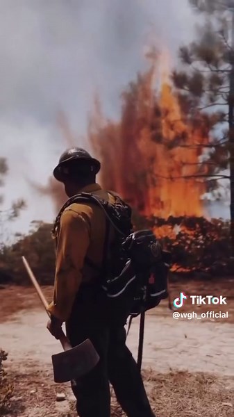 Born to Fight: Grit, Fire, and Steel in Their Blood