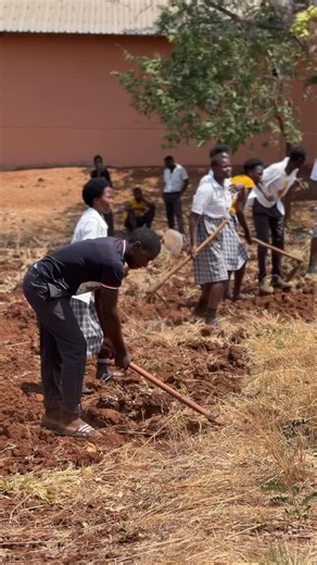 1.1K views · 49 reactions | 凌Rainy season is approaching, and students are preparing their garden! In agriculture science, classes learn practical skills about growing plants and livestock. Hands on learning grows knowledge! #education #theestherschool | The Esther School | Facebook