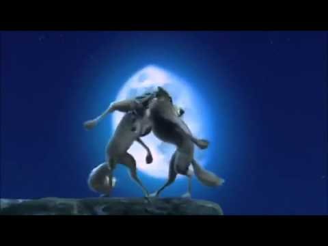 Alpha and Omega- Moonlight Howl HD
