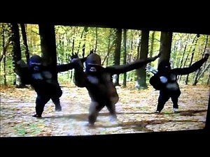 THE BEST DANCING GORILLA VIDEO EVER!!