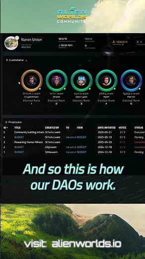A Real World DAO Governance Model